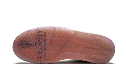 Lichte Air Jordan 5 Retro "Trophy Room" sneakers in zwart en wit, zichtbaar vanaf de zijkant, met kenmerkende details en merklogo