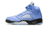 Air Jordan 5 Retro SE 